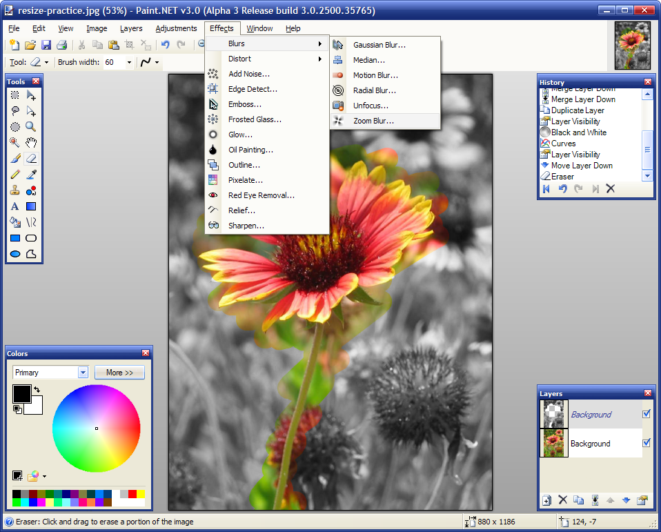 New Paint For Windows Xp Download Bittorrent For Mac